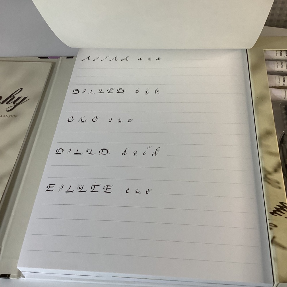 SpiceBox Master Class Calligraphy Kit Step by Step New - Picture 5 of 12